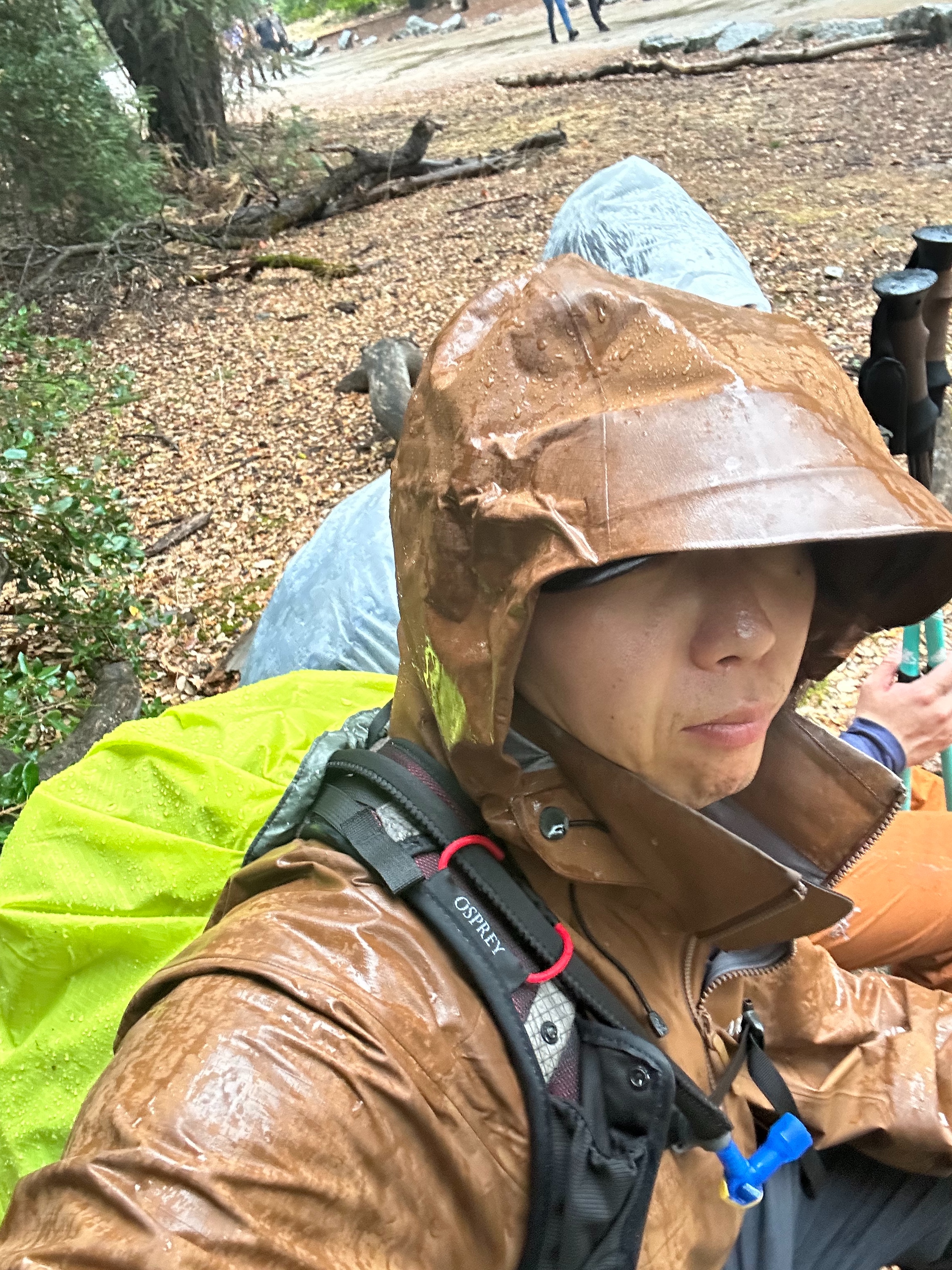 雨中下山