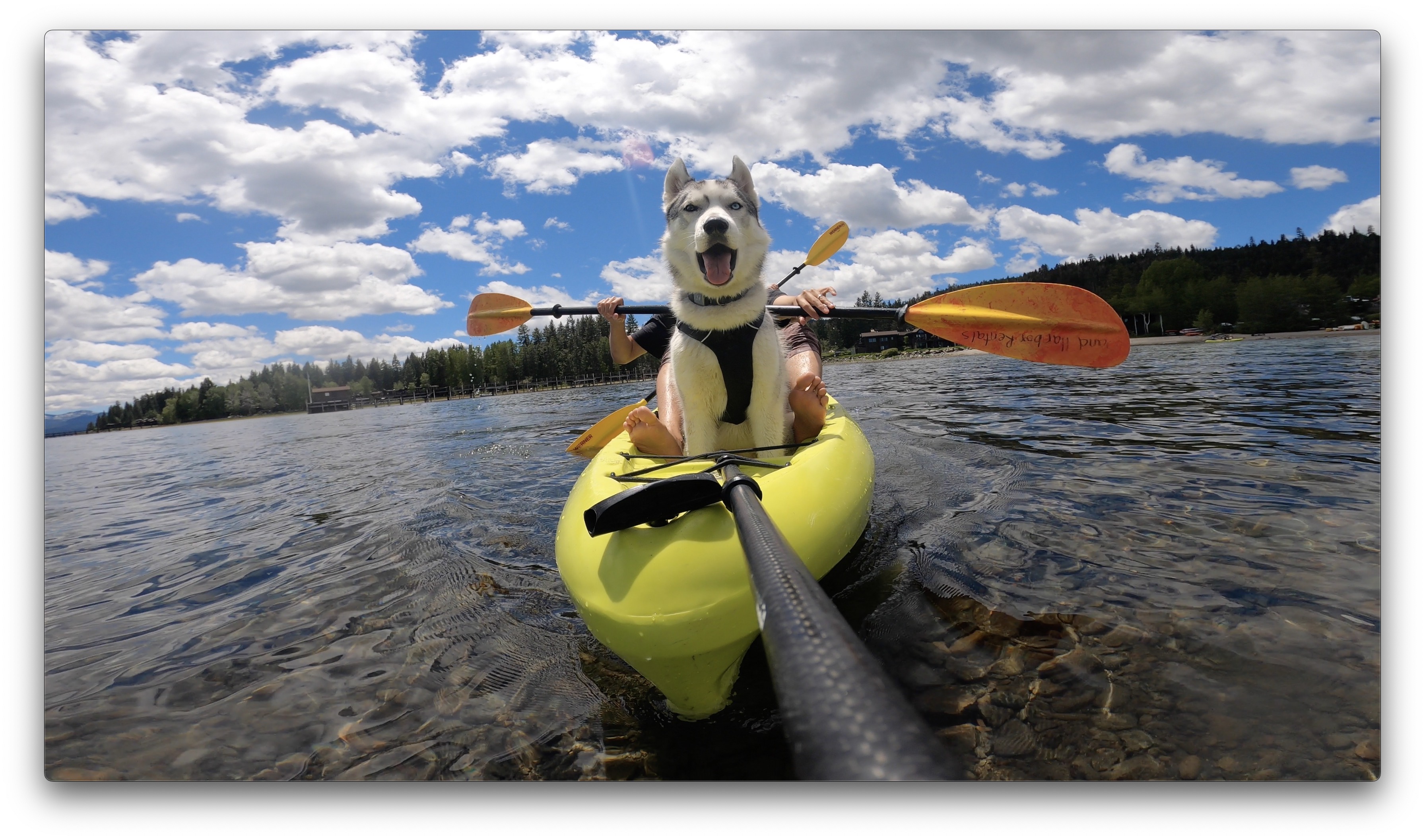 Oyuki at Lake Tahoe