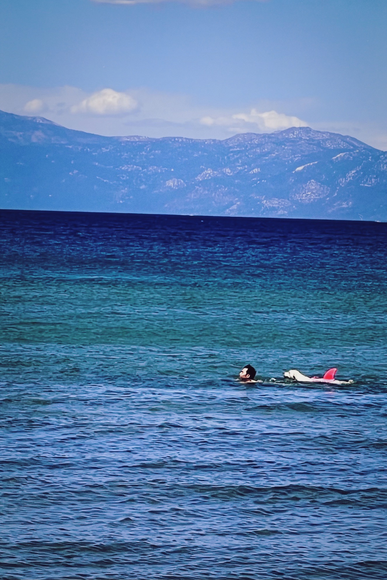 tahoe游泳